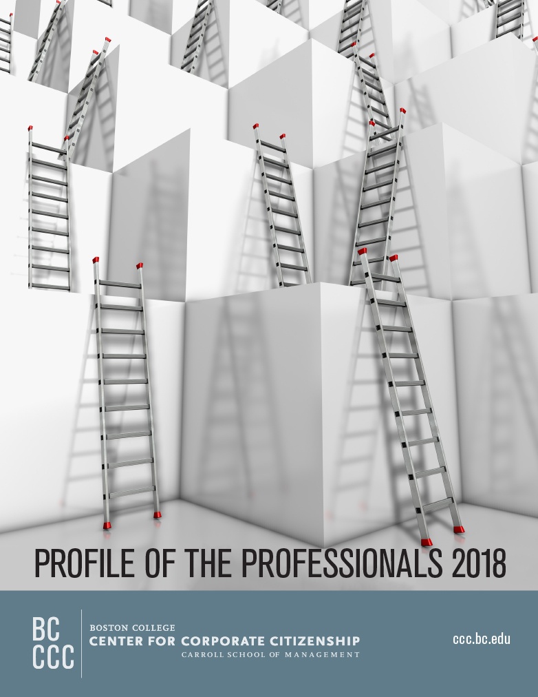 New Research: Profile of the Professionals 2018