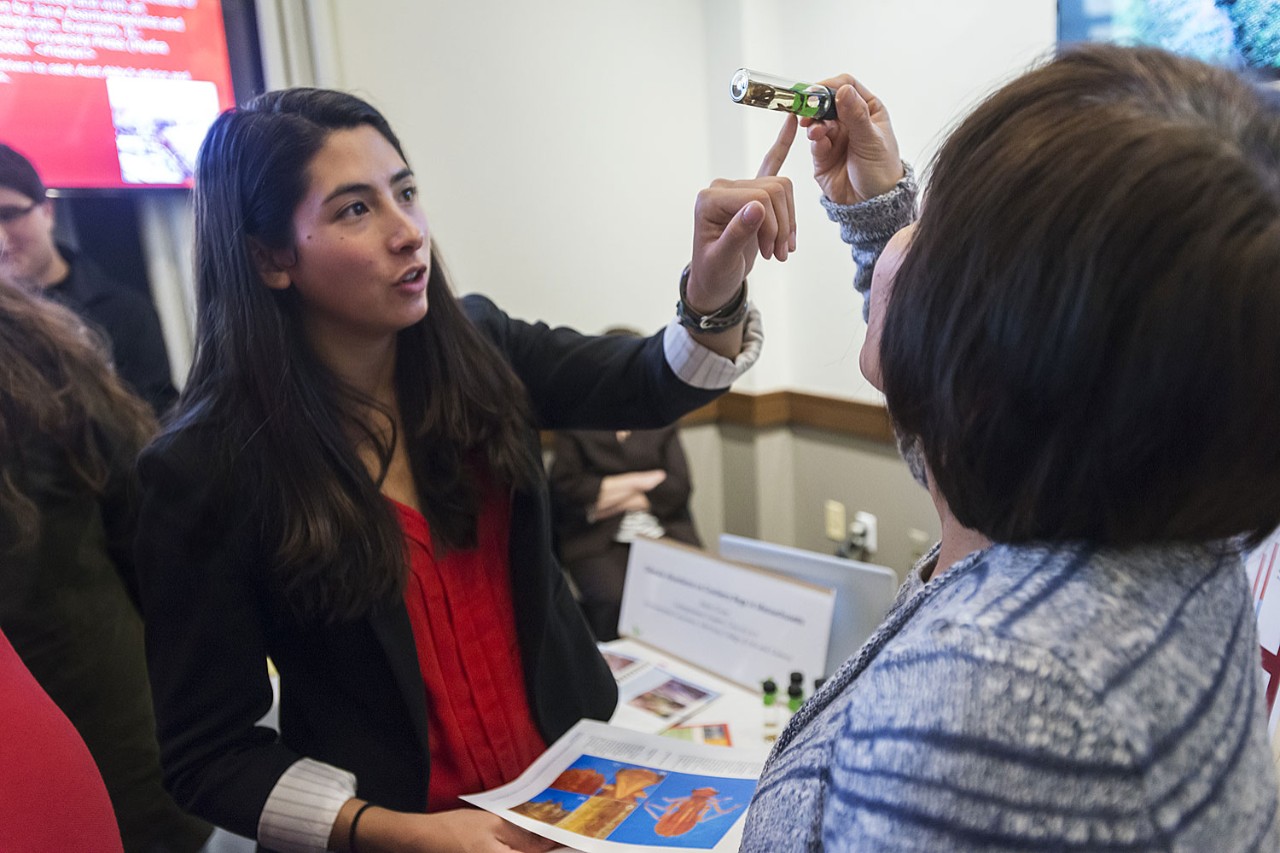 Undergraduate work showcased included senior Robin Graves' research of "Odonata Abundance on Cranberry Bogs in Massachusetts." Her faculty adviser, Tara Pisani Gareau of Earth and Environmental Sciences, and her parents, Michael Gross and Chen-Hoong Koh, joined her on Advancing Research & Scholarship Day. (Lee Pellegrini)