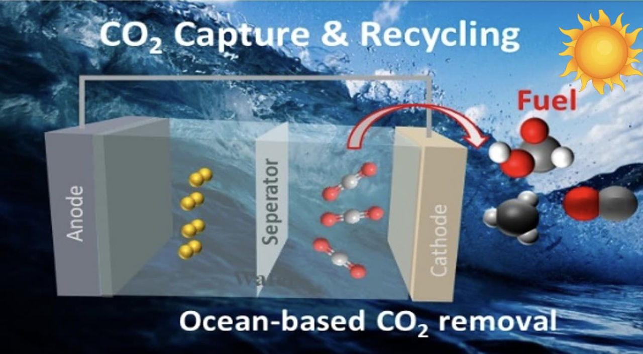 Figure from Professor Wang and Huang's proposal