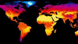 CorporateCitizenshipinaWarmingWorld1280x720