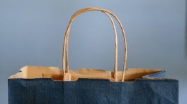 shopping-bag_lucrezia-carnelos