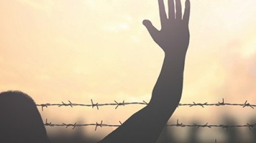 International migrants day concept: Silhouette refugee raising hands and rusty barbed wire over blurred nature background