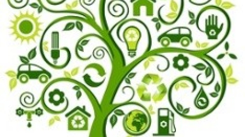 going-green-tree-wellness-sustainability