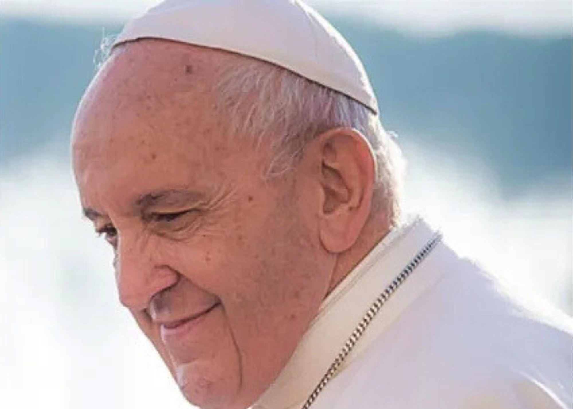 Pope Francis Guiding Light Page Banner  - Pope Francis Faith Feeds Guide Let Us Dream Cover smiling