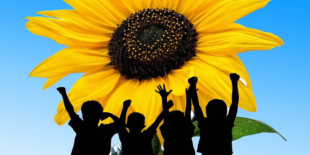 Children silhouettes against sunflower