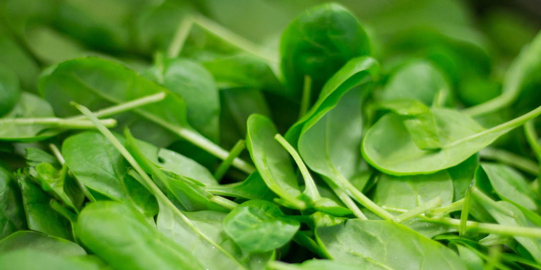 spinach leaves