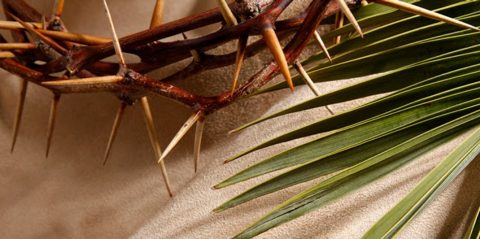 Thorns and palm fronds