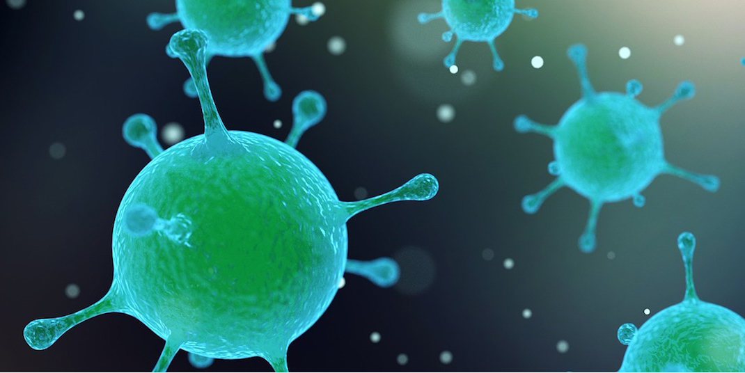 Magnified bacteria