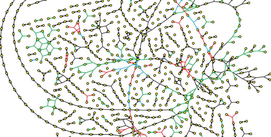 Graphic: The first curated, genome-scale metabolic network of the lethal bacterium Streptococcus pneumoniae.
