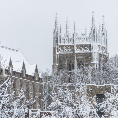 Neenan 500x500 - JAN