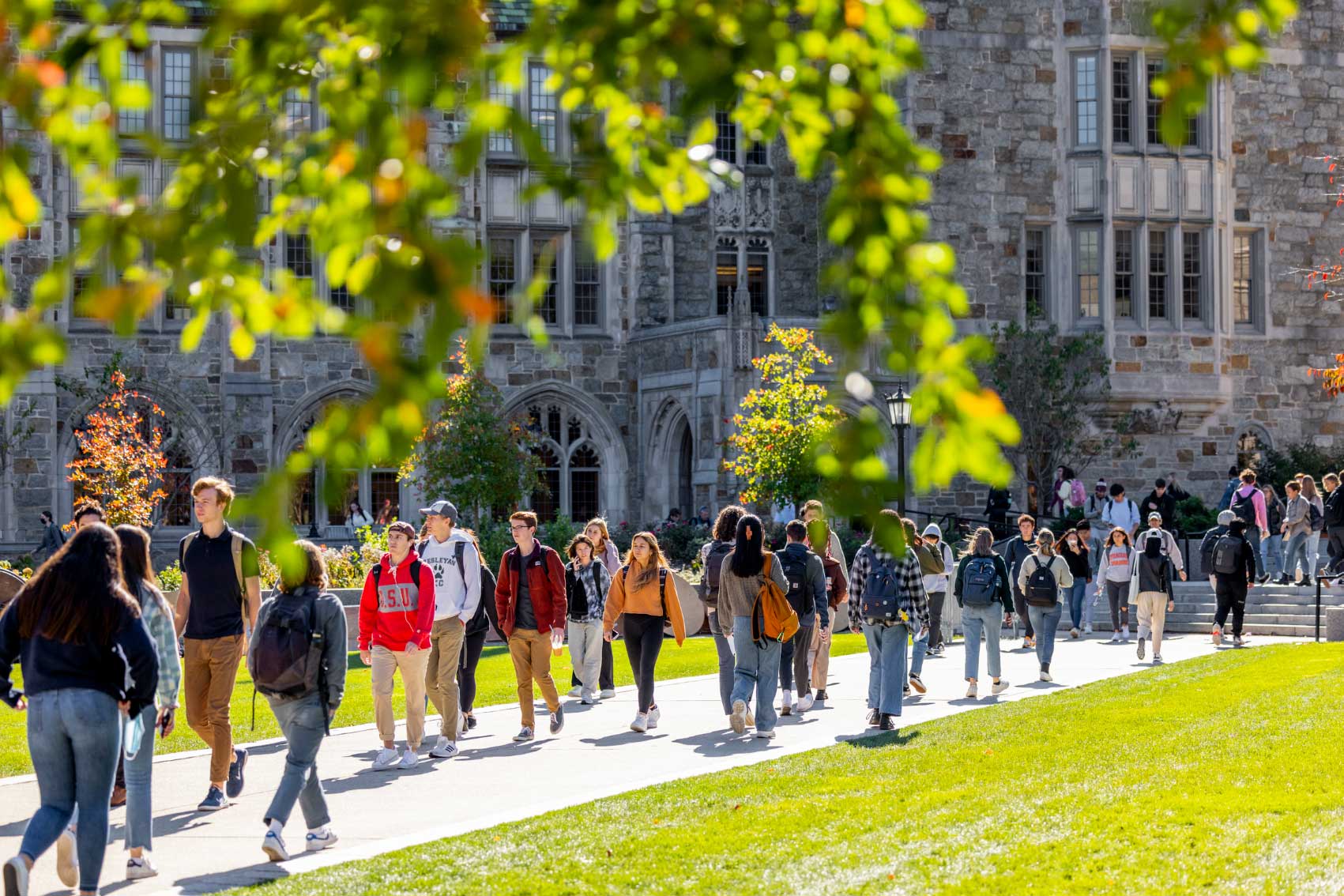 students walking in the quad