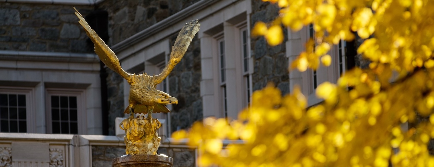 Eagle statue and gold leaves