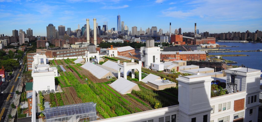 Farm-on-the-Roof - 1