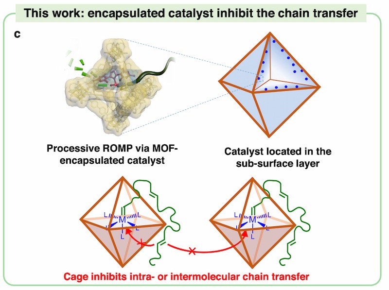 Niu Lab publication