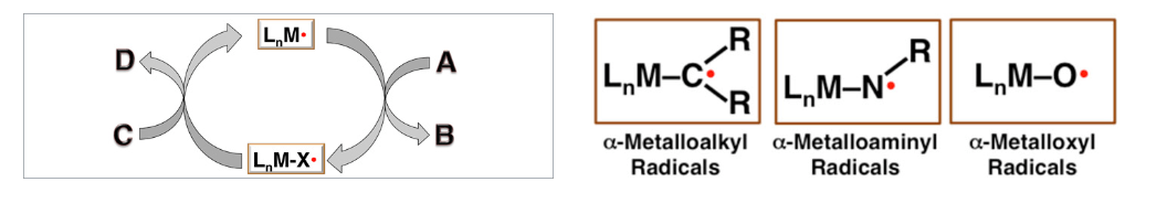 A chart showing chemistry