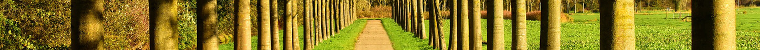 hero-strip-1500x100-theology