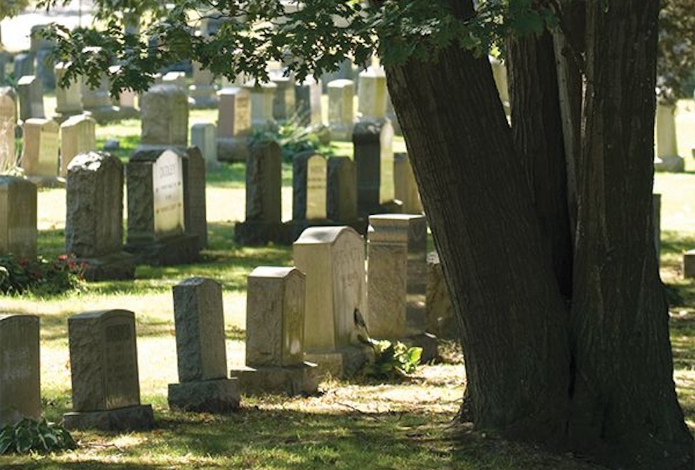 Graves and a tree at the Evergreen Cemetery in Brighton, Massachusetts