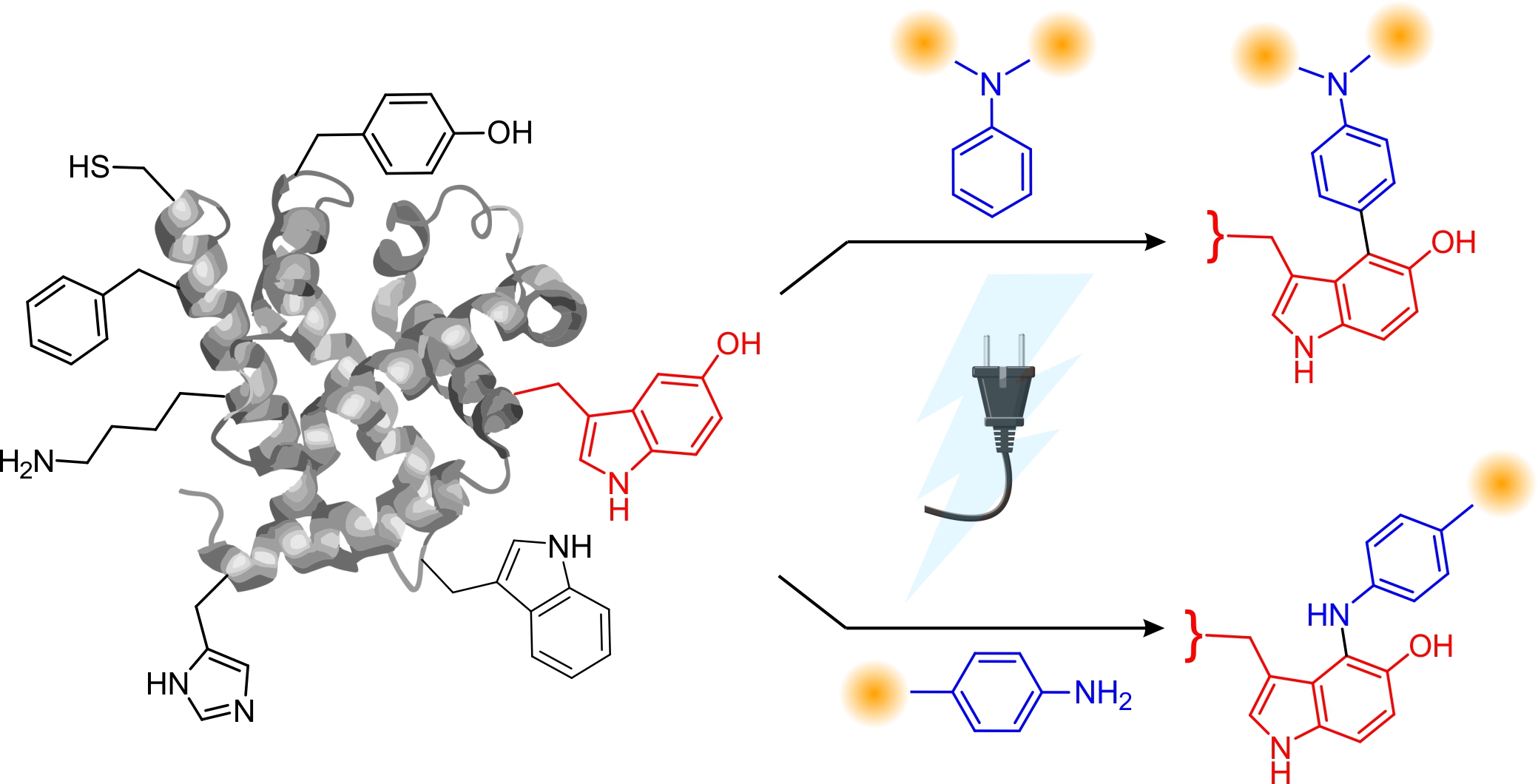 Diagram of a new approach to electrochemical protein labelling strategies.