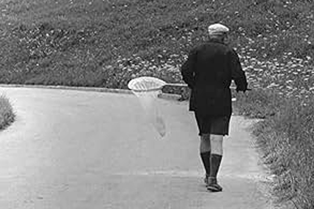 Cover of the book 'Nabokov on the Heights'