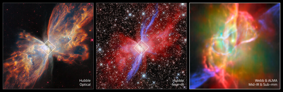 This image set showcases three views of the Butterfly Nebula, also called NGC 6302. The Butterfly Nebula, located about 3400 light-years away in the constellation Scorpius, is one of the best-studied planetary nebulae in our galaxy. Planetary nebulae are among the most beautiful and most elusive creatures in the cosmic zoo. These nebulae form when stars with masses between about 0.8 and 8 times the mass of the Sun shed most of their mass at the end of their lives. The planetary nebula phase is fleeting, lasting only about 20 000 years. The Butterfly Nebula is a bipolar nebula, meaning that it has two lobes that spread in opposite directions, forming the ‘wings’ of the butterfly. A dark band of dusty gas poses as the butterfly’s ‘body’. This band is actually a doughnut-shaped torus that’s being viewed from the side, hiding the nebula’s central star — the ancient core of a Sun-like star that energises the nebula and causes it to glow. The dusty doughnut may be responsible for the nebula’s insectoid shape by preventing gas from flowing outward from the star equally in all directions.  The first and second of the three images shown here highlight the bipolar nature of the Butterfly Nebula in optical and near-infrared light captured by the NASA/ESA Hubble Space Telescope. The new Webb image on the right zooms in on the centre of the Butterfly Nebula and its dusty torus, providing an unprecedented view of its complex structure. The Webb data are supplemented with data from the Atacama Large Millimetre/submillimetre Array, a powerful network of radio dishes.  While the nebula’s central star is blanketed with thick, dusty gas at optical wavelengths, Webb’s infrared capabilities reveal the central star and show the doughnut-shaped torus and interconnected bubbles of dusty gas that surround it. [Image description: Three views of the same nebula, presented side by side. The left and middle images, which are labeled ‘Hubble Optical’ and ‘Hubble Near IR’, show the nebula at roughly the same scale. These two images show some similar features, including a dark dust lane that runs through the centre of the nebula and two broad clouds that emerge from either side of the dust lane like the outstretched wings of a butterfly. A diamond-shaped region centred on the dust lane is outlined in each of these images. In the optical Hubble image, the nebula appears clumpy and nearly opaque, with few background stars showing through the cloudy material. The nebula appears in different shades of cream, yellow and orange, with the lightest colours appearing closest to the centre. The background of space is black with a handful of stars that are tinged pink. In the near-infrared Hubble image, the nebula appears cream coloured and most opaque near the centre, then becomes reddish with purple streaks and more translucent out toward the wings of the nebula. There are hundreds of background stars in the image, many of which are visible through the nebula. The third and final image zooms in on the diamond-shaped region near the centre of the other two images. This image is labeled ‘Webb & ALMA, Mid-IR & Sub-mm’. This image is completely different from the other two, showing a bright source at the centre that is surrounded by greenish nebulosity and several looping lines in cream, orange and pink. The upper-right and lower-left corners of this image show a purple streak pointing out of the image.]