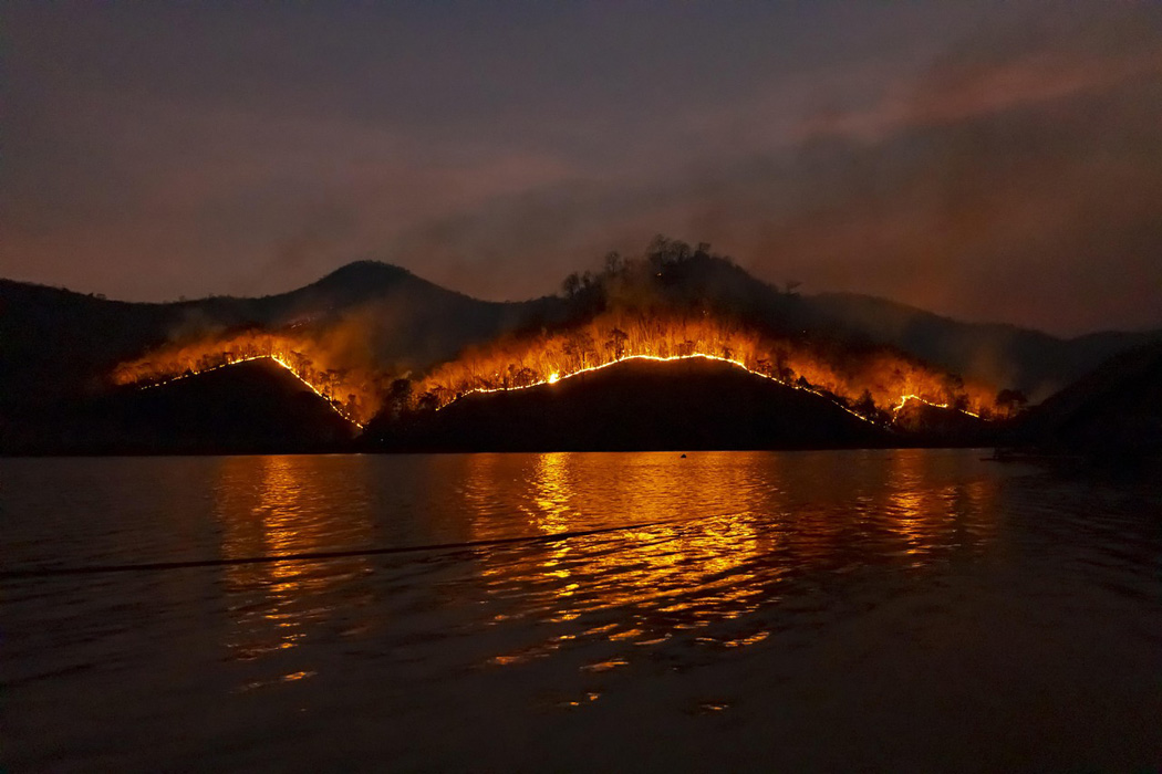 silhouette of wildfire in progress