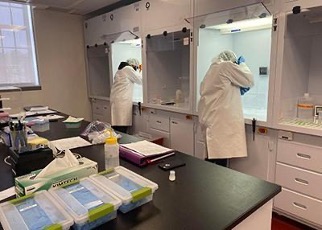 Clean Lab