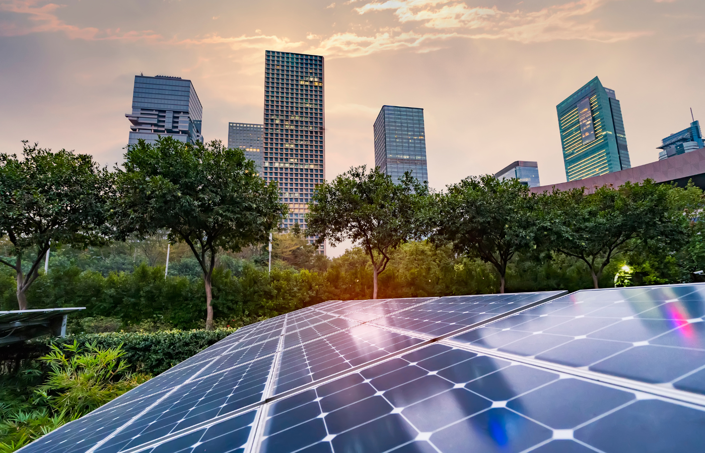 sustainability report