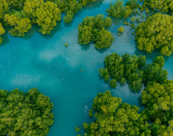 environmental sustainability 101 course - 1