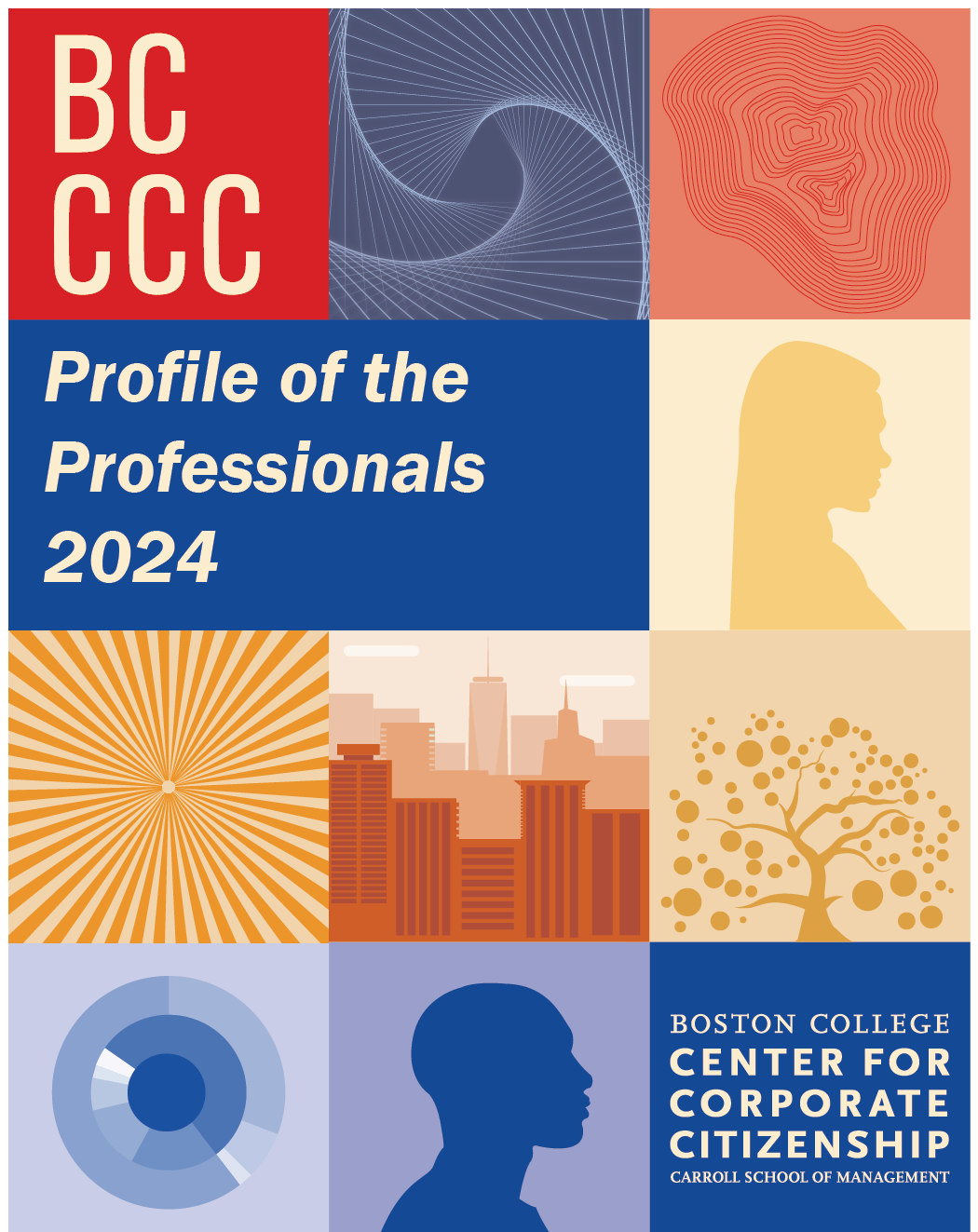 profile of the professionals cover