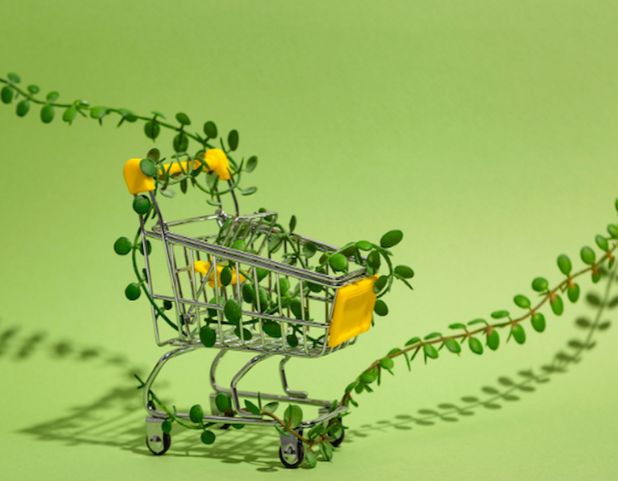 consumers pay more for green products