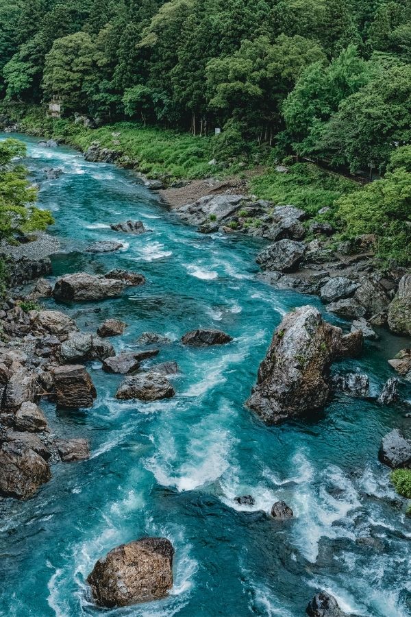 Management Intensive