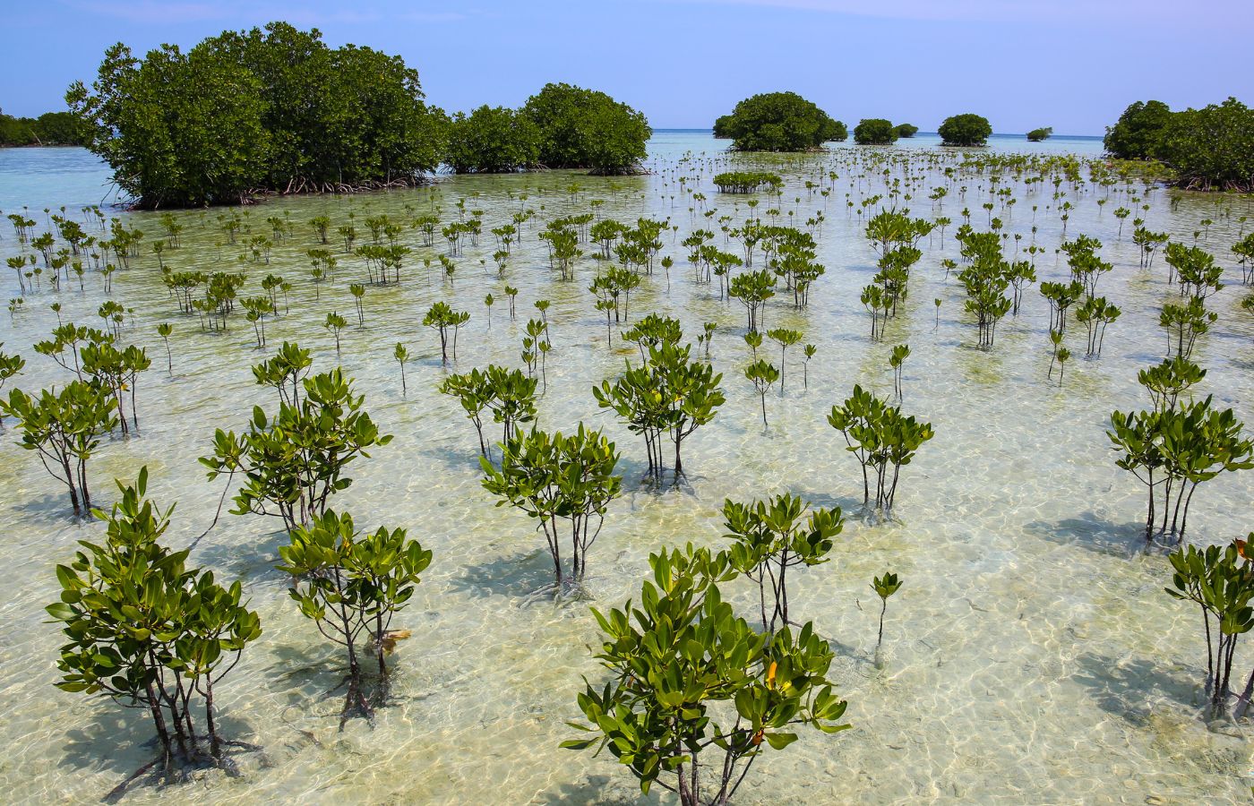 disaster resilience and natural disasters